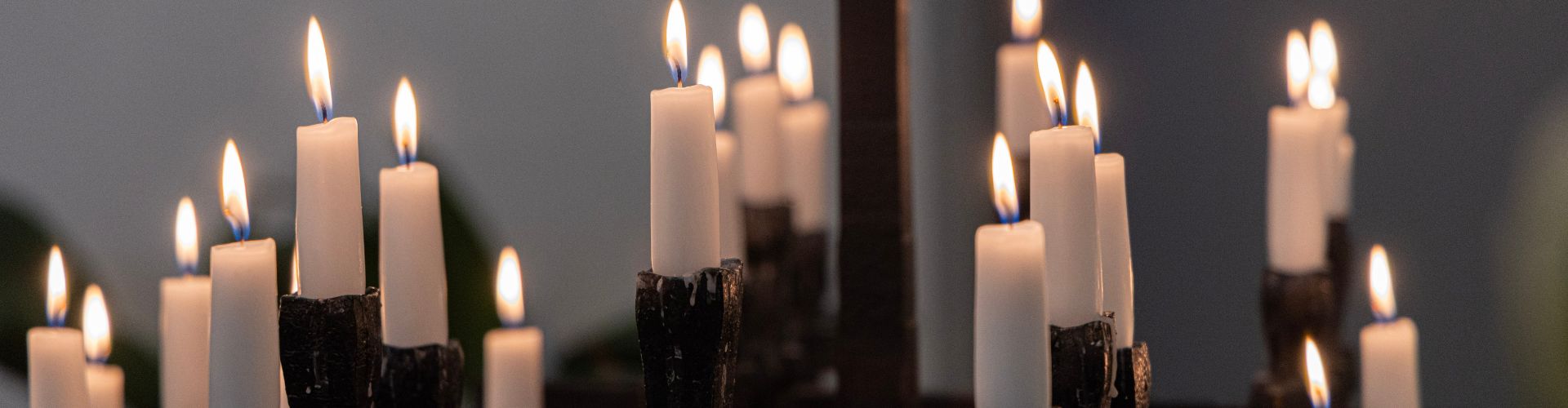 Proslava Dana posvećenog života u Zagrebačkoj nadbiskupiji